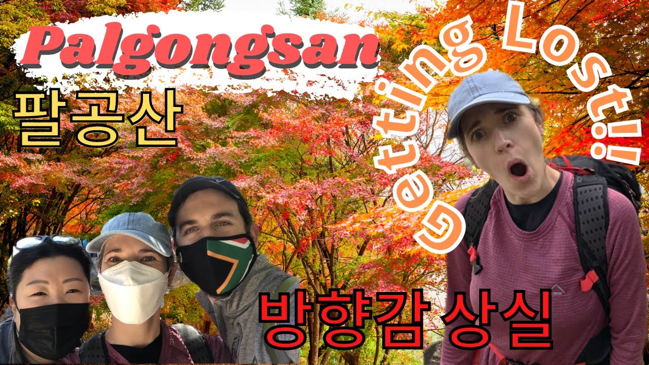 #26. Hiking Palgongsan in Autumn | 가을 팔공산 등산 | Daegu | South Korea