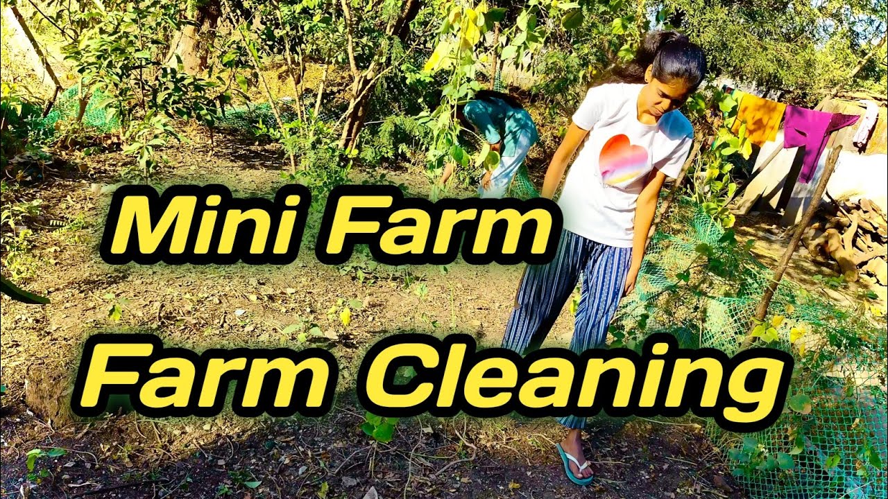 Farm Cleaning ll फार्म क्लीनिंग || Mini Farm || मिनी फार्म 