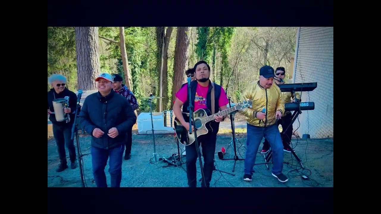 Arreando la mula y la abeja miope (cover) en vivo 