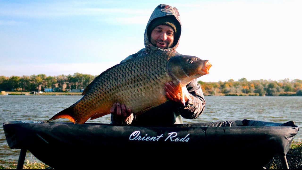 ЛОВЛЯ КАРПА.КРУТАЯ БАЛКА.VIP ТУРИСТ.PIRANHAS BAITS.TRINYTI BAITS.