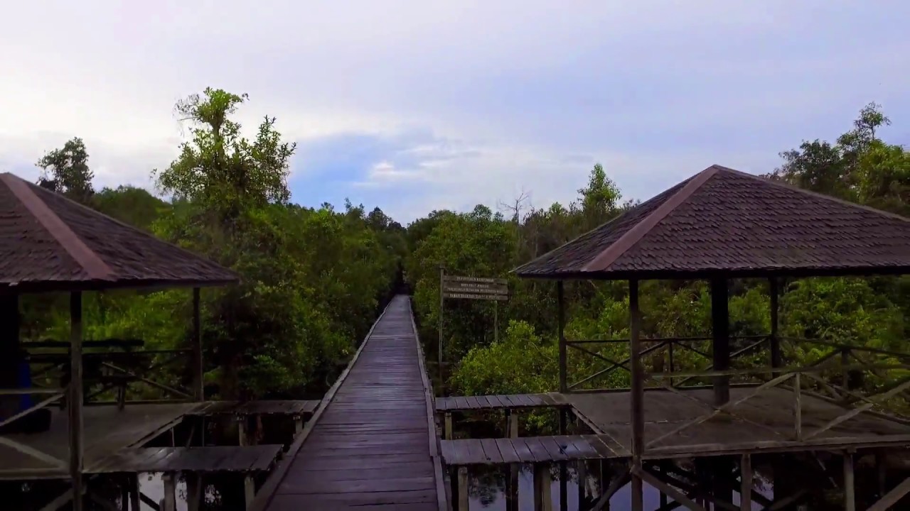 Camp Leakey, Tanjung Puting National Park