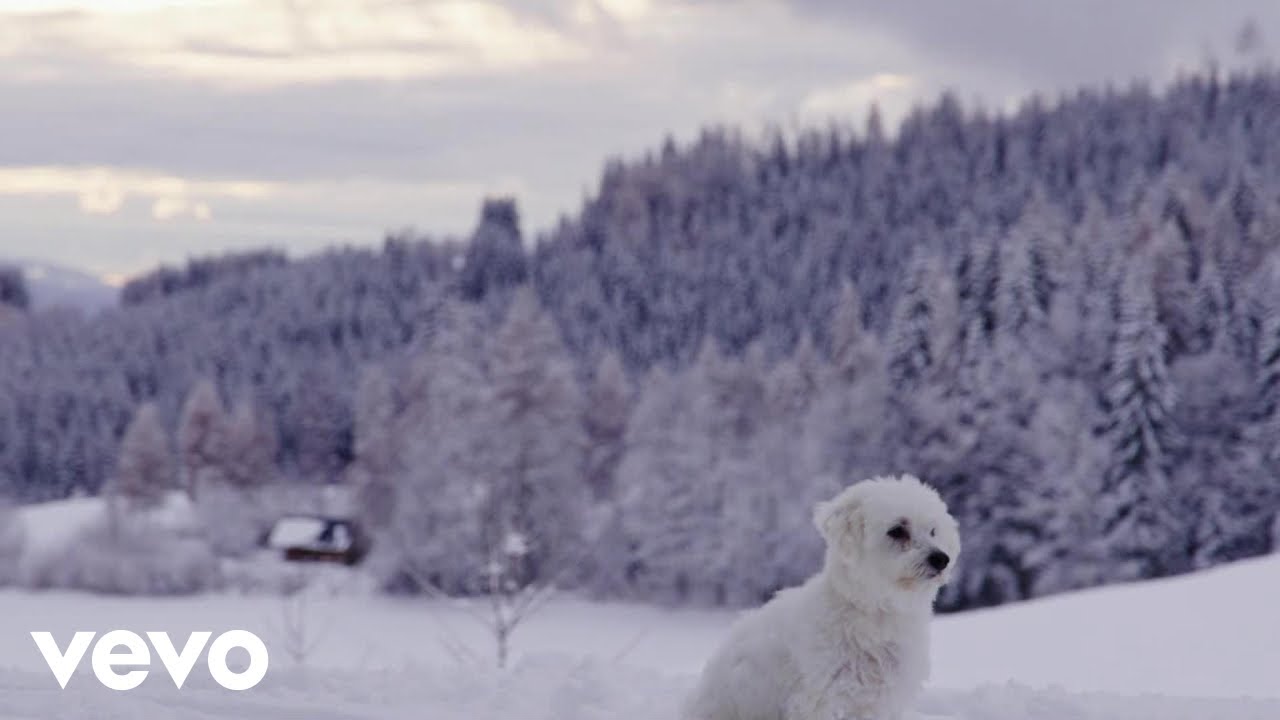 Daily Relaxing Music - Snow-Covered Rest
