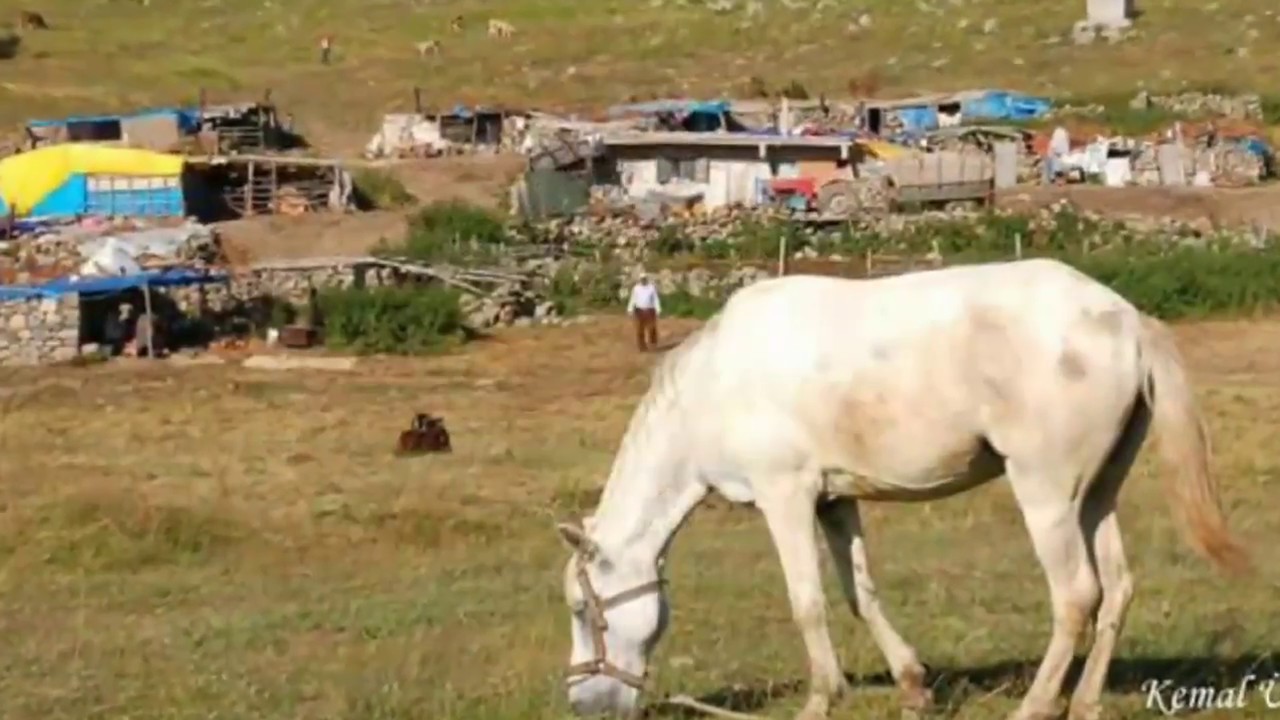 REŞADİYE AKPINAR YAYLASI