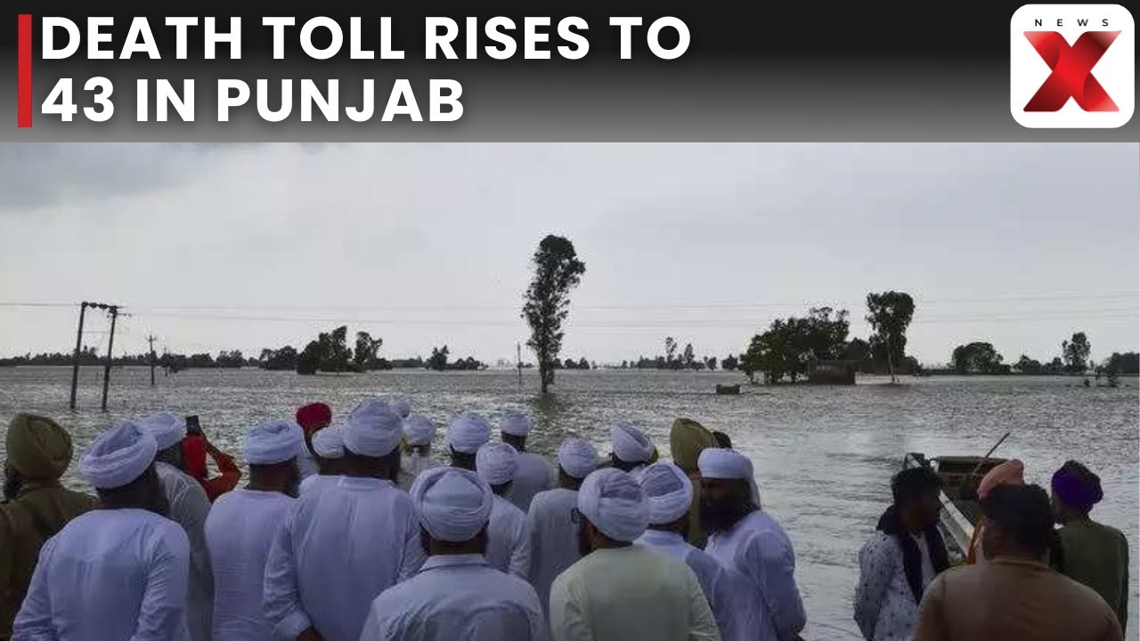 Punjab Floods Worsen: Over 1,900 Villages Affected, 4 Lakh Acres Submerged, Death Toll 43