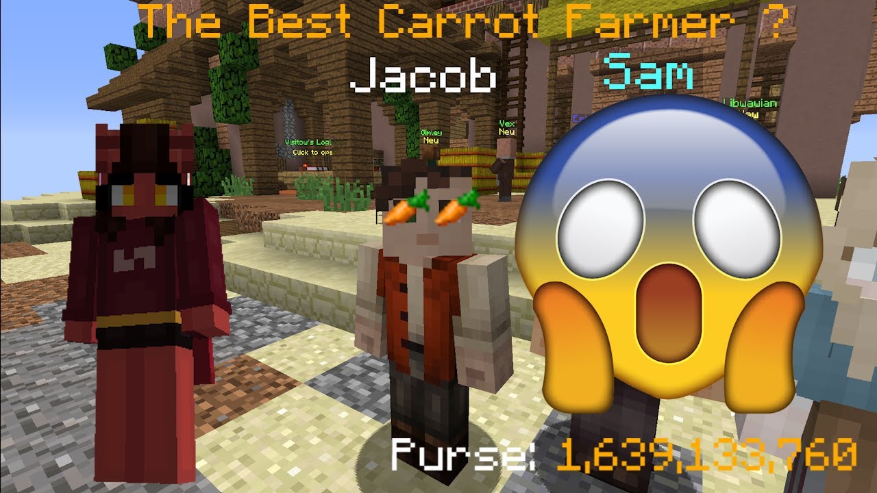 HOW I GOT THIS LEADERBOARD POSITION ... (HYPIXEL SKYBLOCK MONEY MAKING METHOD) (STILL WORKING)