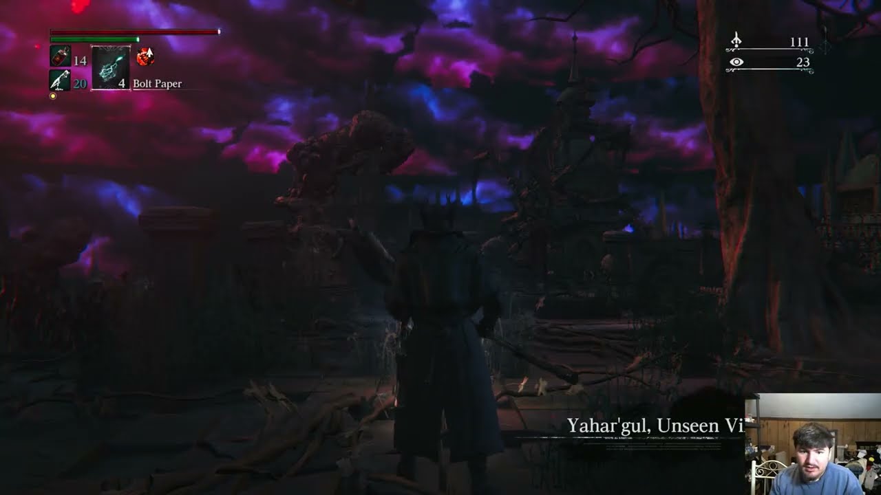 I Think We're Screwing Up - Bloodborne [11]