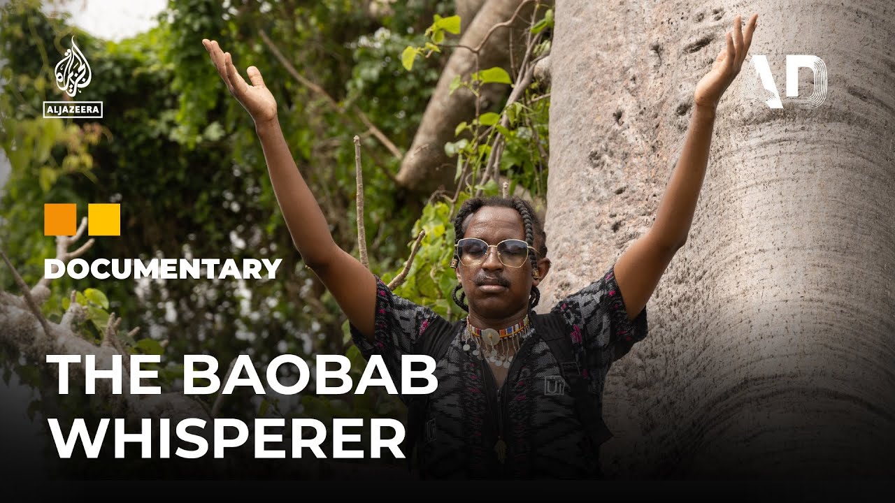 A Kenyan artist celebrates his love of the Baobab trees | Africa Direct Documentary