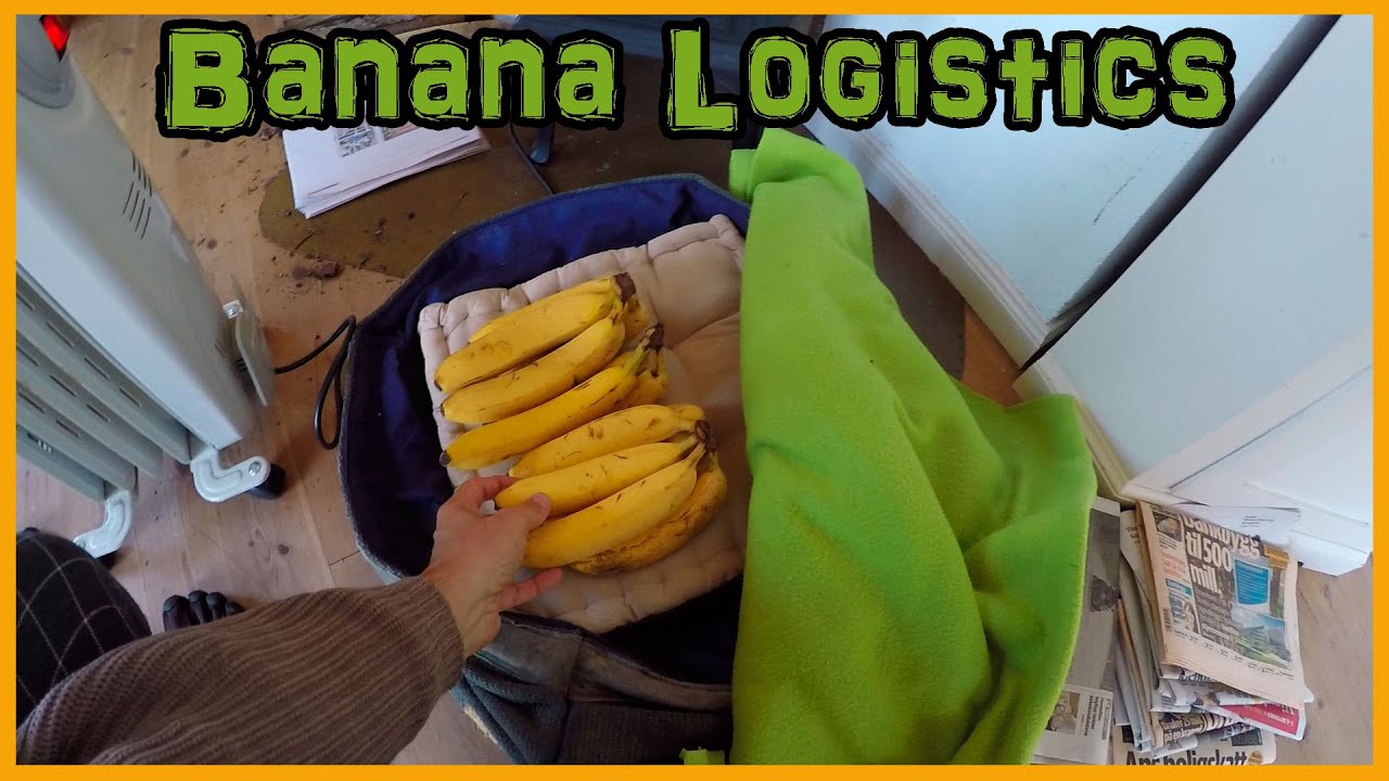 BANANA RIPENING TIPS: HOW TO SLOW DOWN OR SPEED UP THE PROCESS