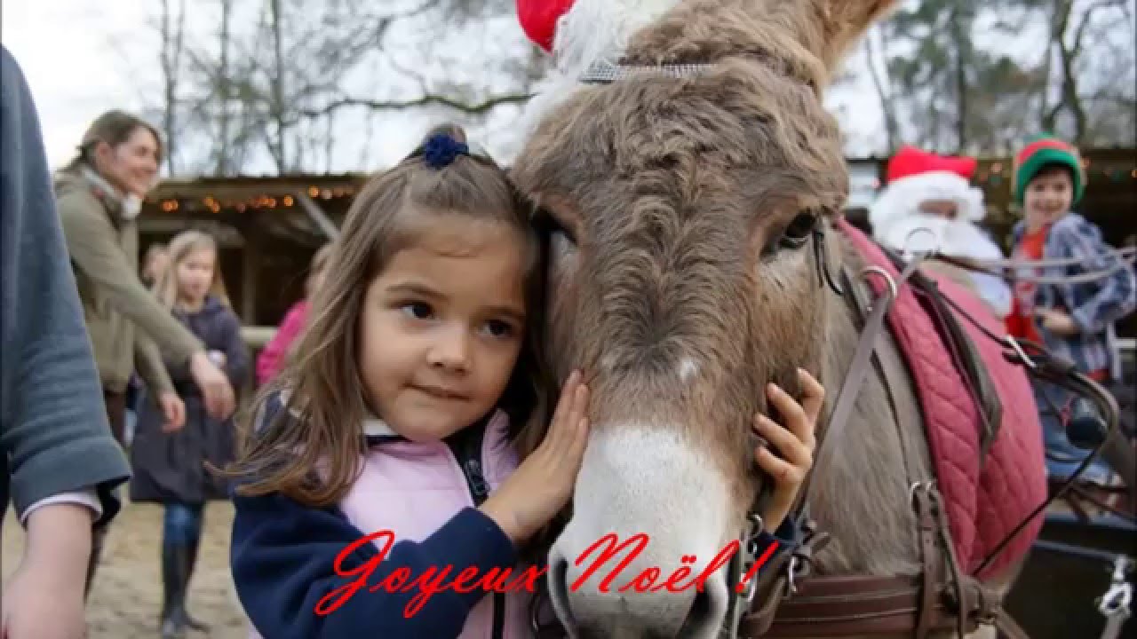 Un Noël au poney club 2015