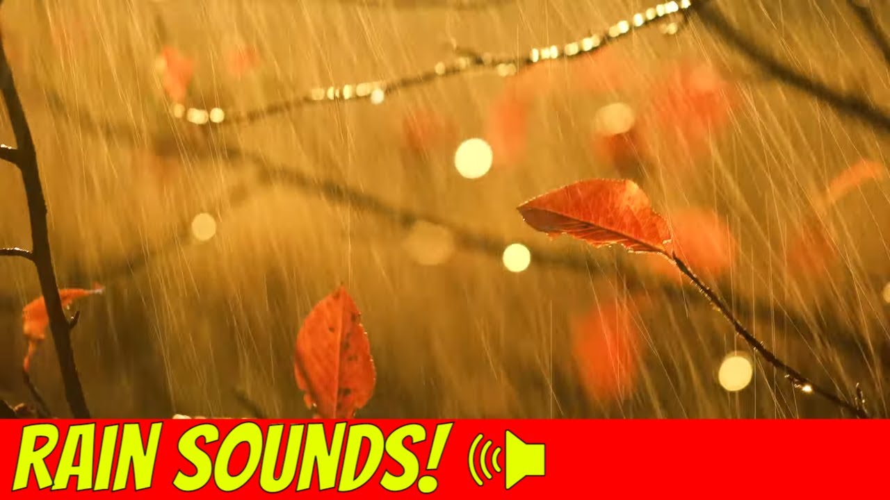 Relaxing ASMR Rain Hitting Plants Sounds To Fall Asleep To!