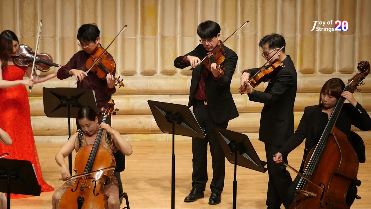 B Rossette 드라마 '하얀거탑' OST Joy of Strings 조이오브스트링스