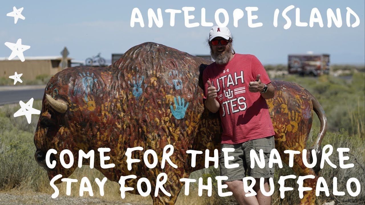 The Great Salt Lake's Antelope Island some fun things to see and do.