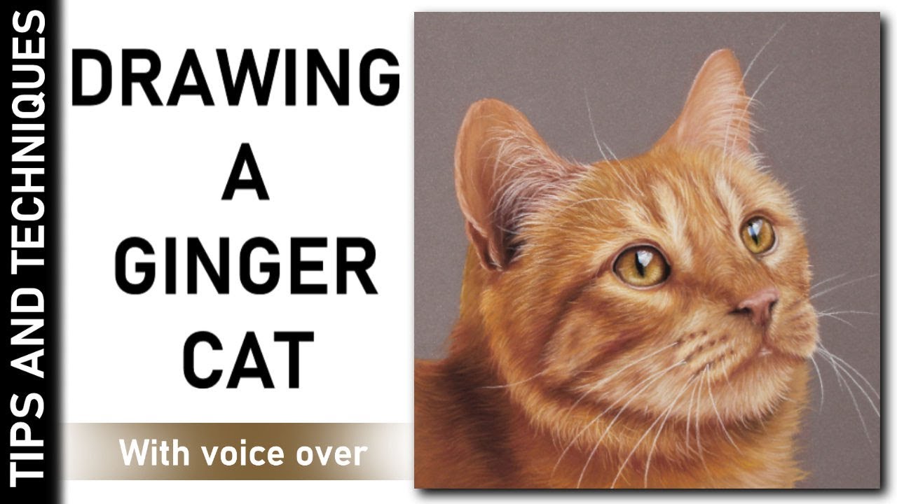 HOW TO DRAW A GINGER CAT IN PASTELS | DRAWING GINGER FUR