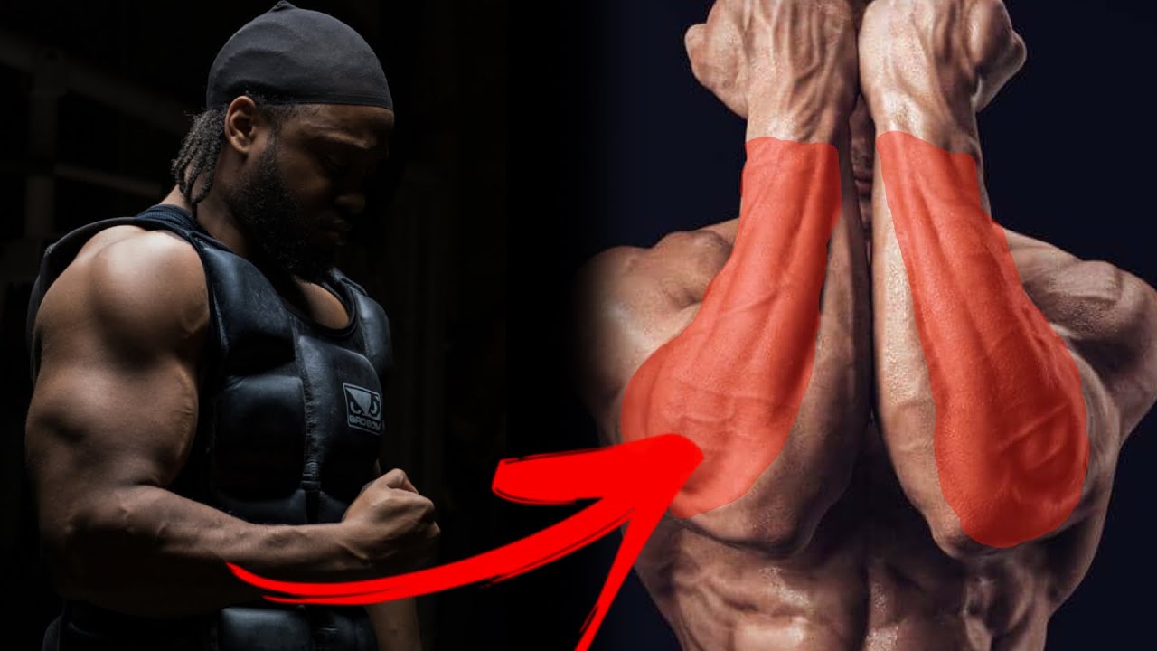 PROGRAMME AVANT BRAS - BICEPS