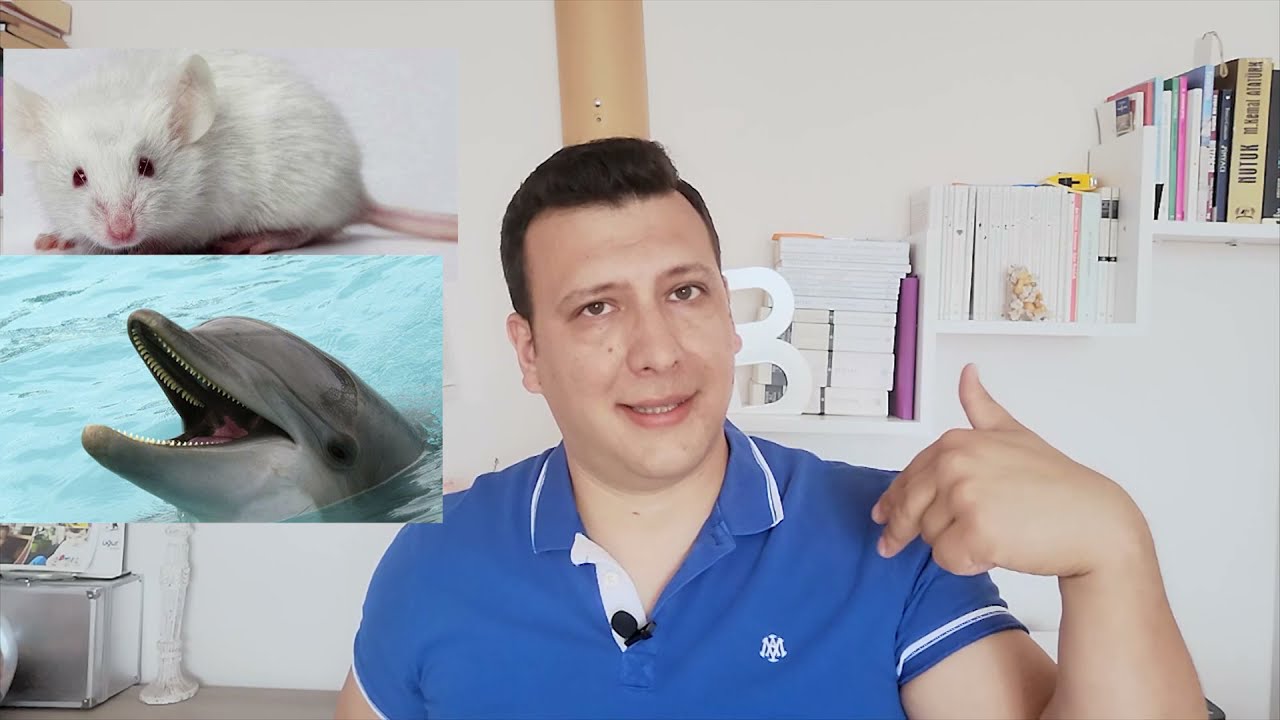Otostopçunun Galaksi Rehberi / Douglas Adams