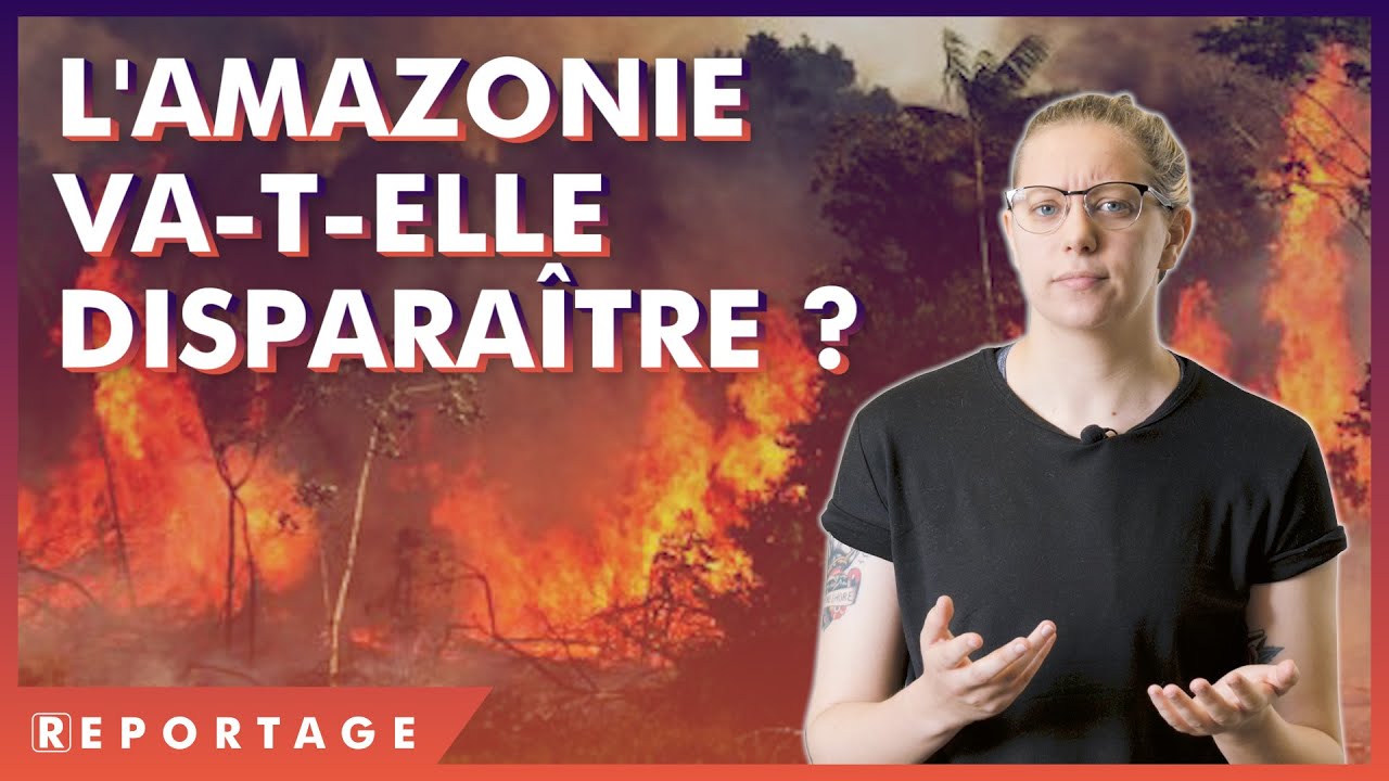L'Amazonie brûle : des conséquences IRREVERSIBLES ?