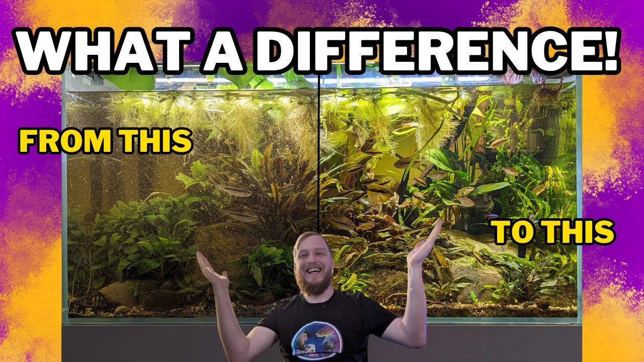 Чистка Fluval FX2 через 3 месяца. Важность чистого фильтра!