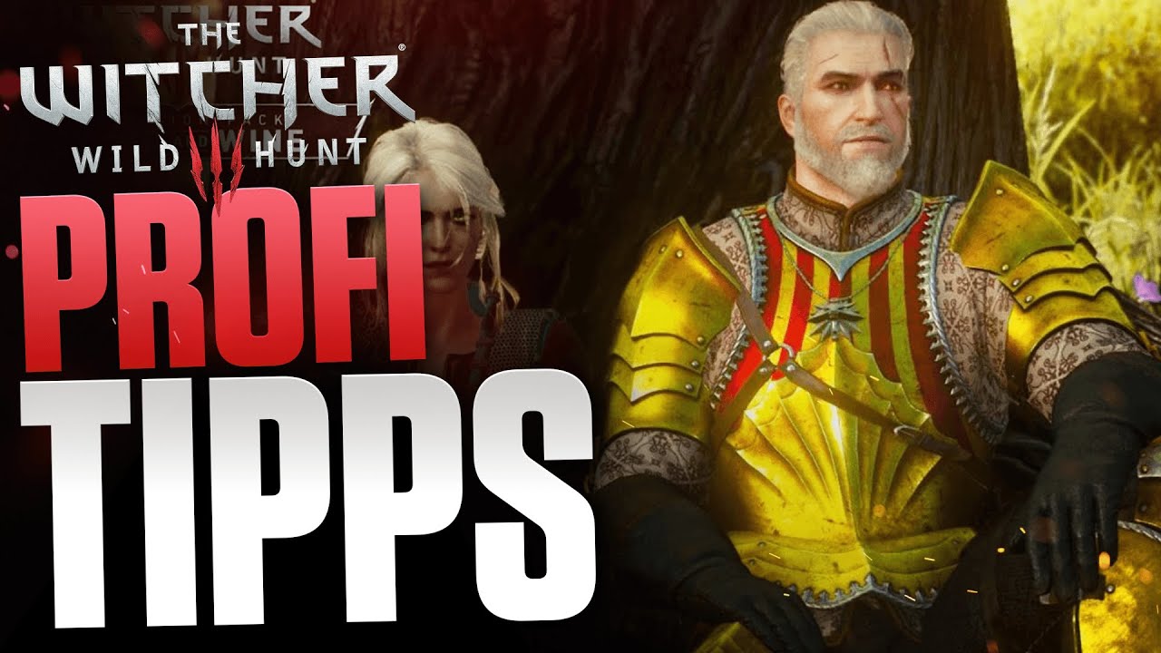 11 Tipps für Profis - The Witcher 3 Meister werden