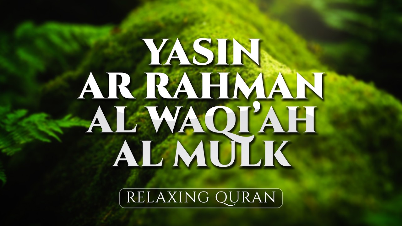 Beautiful Recitation of Holy Quran for Calm Peaceful Bedtime - ALAA AQEL