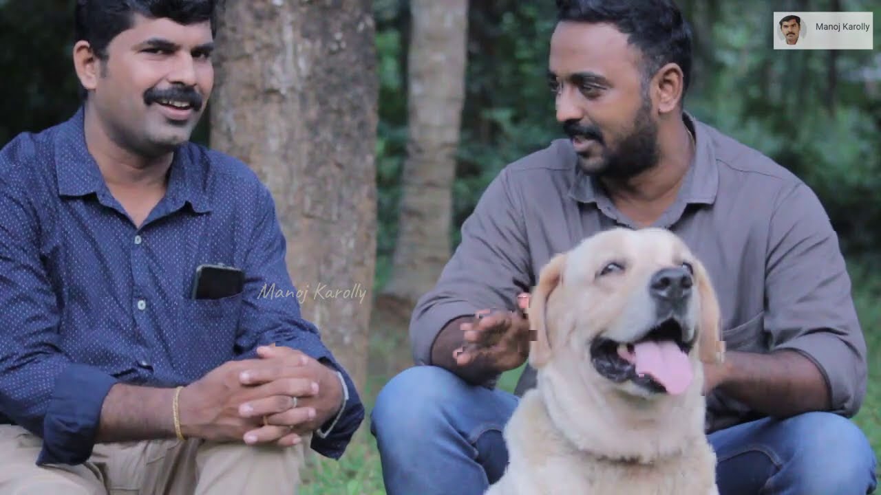 നായവളർത്തൽ രംഗത്തേക്ക് ഇറങ്ങുകയാണോ? I dog farming kerala I naya valarthal I labrador
