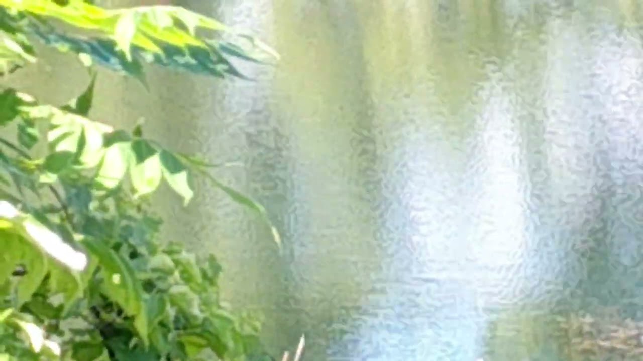 Loch Nest Monster