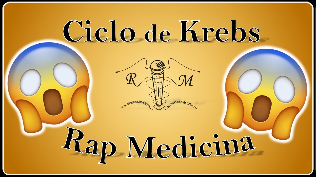 Ciclo de Krebs 🟢 Rap Educativo 🟢 El R4