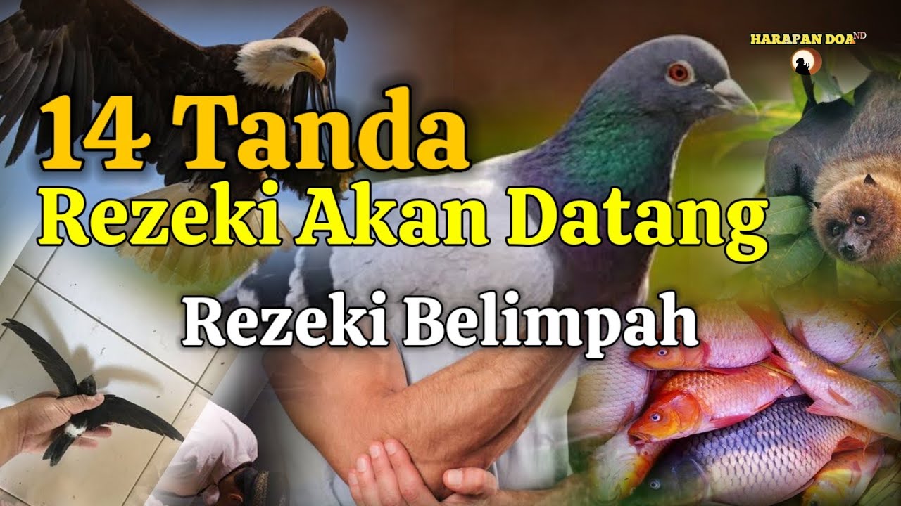 14 TANDA REZEKI AKAN DATANG | RAMALAN | PRIMBON JAWA
