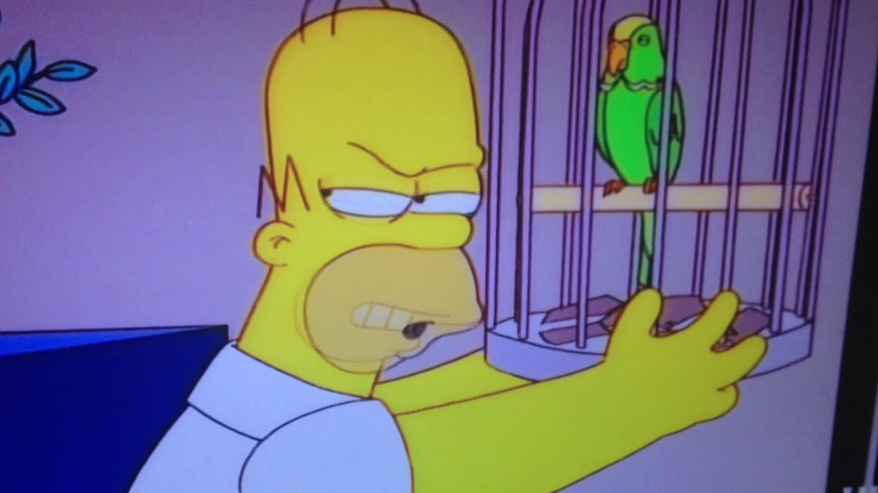 Rattling the cage