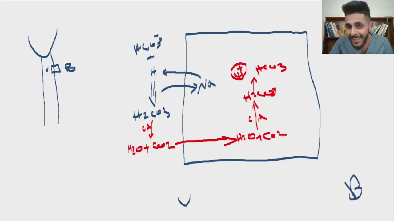L1-Diuretics (CA inhibitors+Osmotic Diuretics)