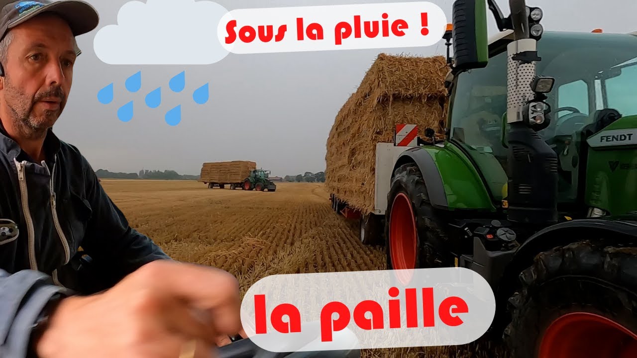 Chargement de la paille sous la pluie avec le Manitou 634.