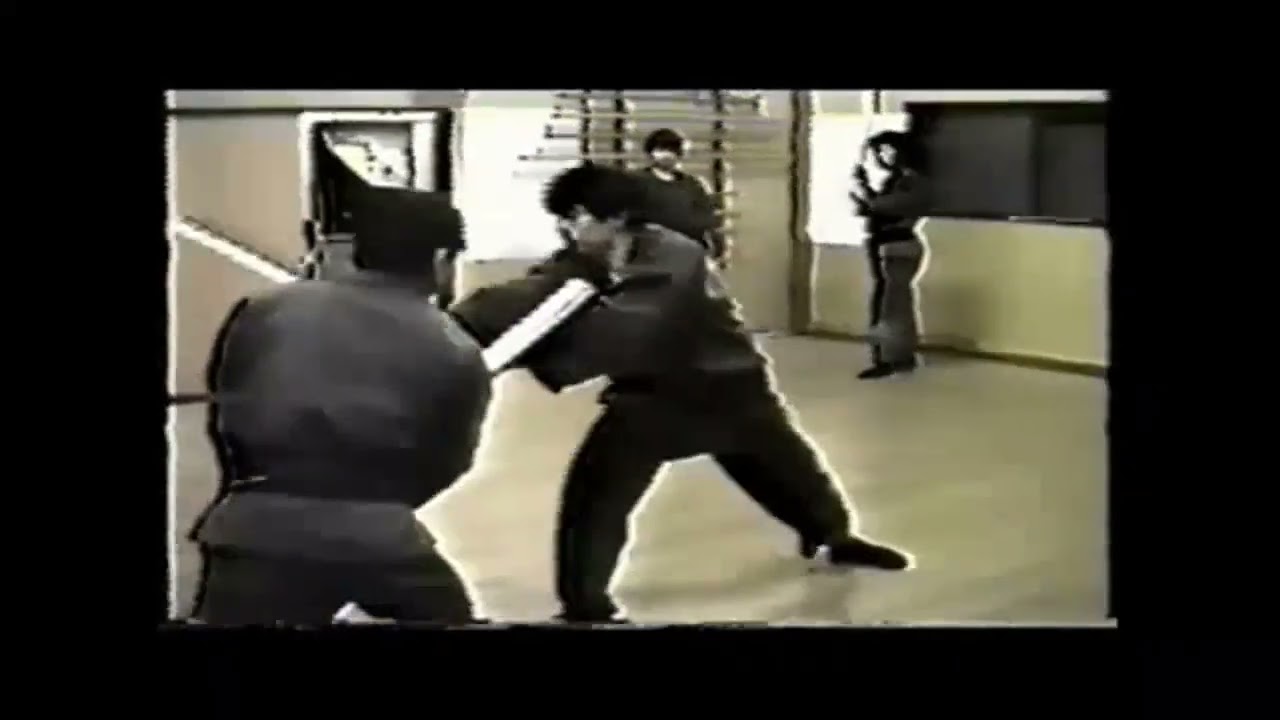 Someya sensei - kenjutsu & ninpo taijutsu
