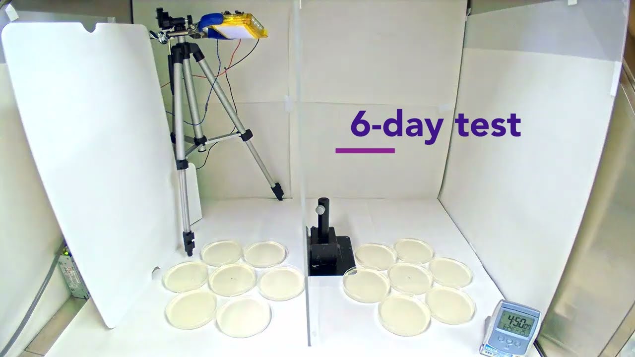 Care222 Far UV-C Technology: The 144 Hour Mold Spread Suppression Test