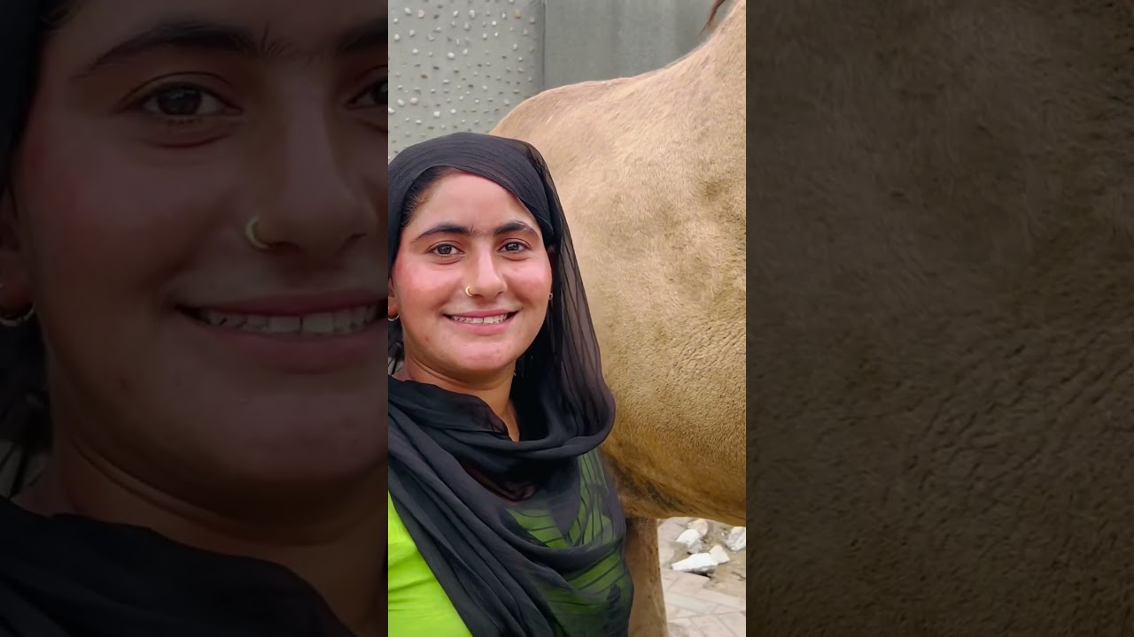 Buying Camel Milk on the Streets of Karachi Pakistan Life #villageworldvlogger