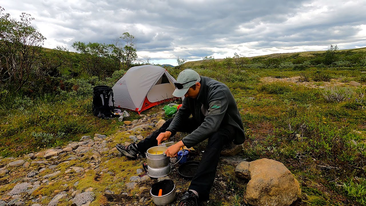 Toten Moschusochsen gefunden | Wandern im Dovrefjell | Tag 5