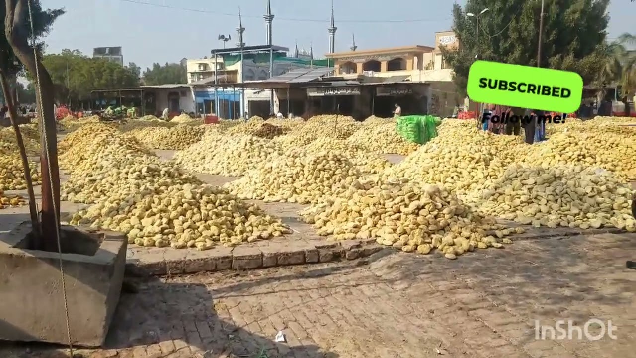 Pakistan ki gurmandi