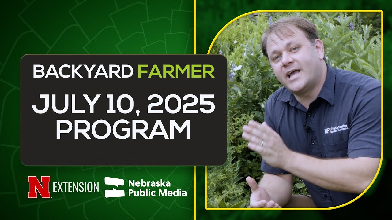 Stag Beetles, Herbicide Tips & Pine Tree Blight 🌲 | Backyard Farmer July 10, 2025