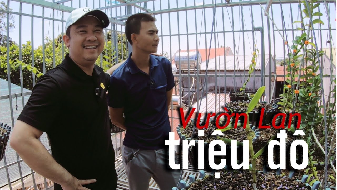 Đột nhập Vườn Lan “Đột Biến” Triệu Đô của anh khách Kon Tum mà phát hoảng!