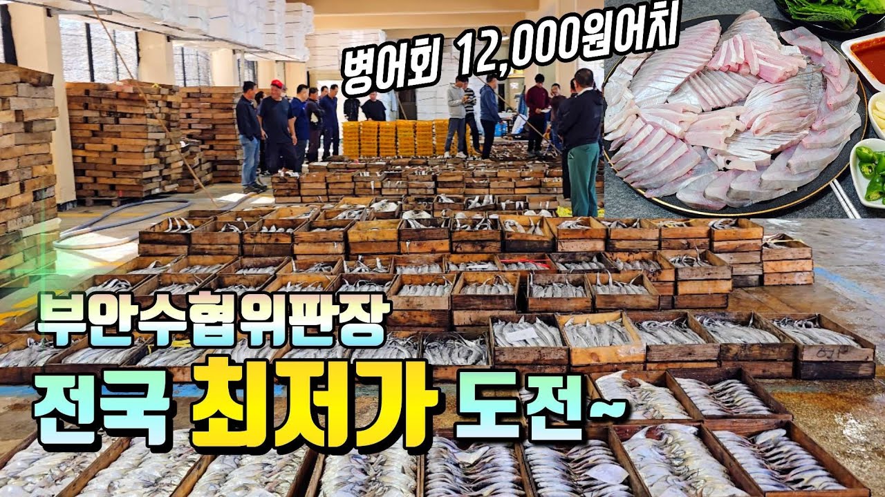 다녀본 어판장중 경매.도매.소매가가 제일 싼곳~  경매물건 현장에서 바로 구매가능한 위판장! 병어.병치.덕자 구분법