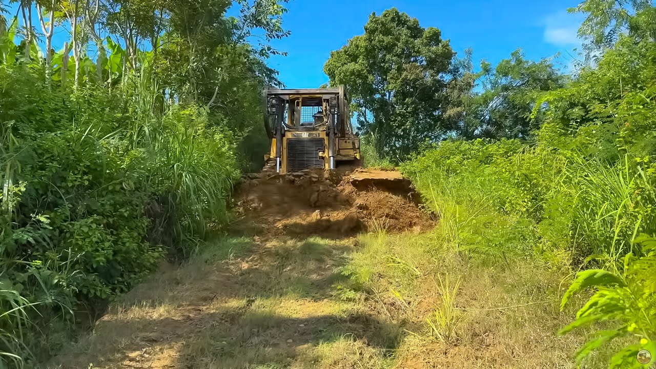 Amazing Process Optimization of Old Plantation Roads with a D6R XL Bulldozer