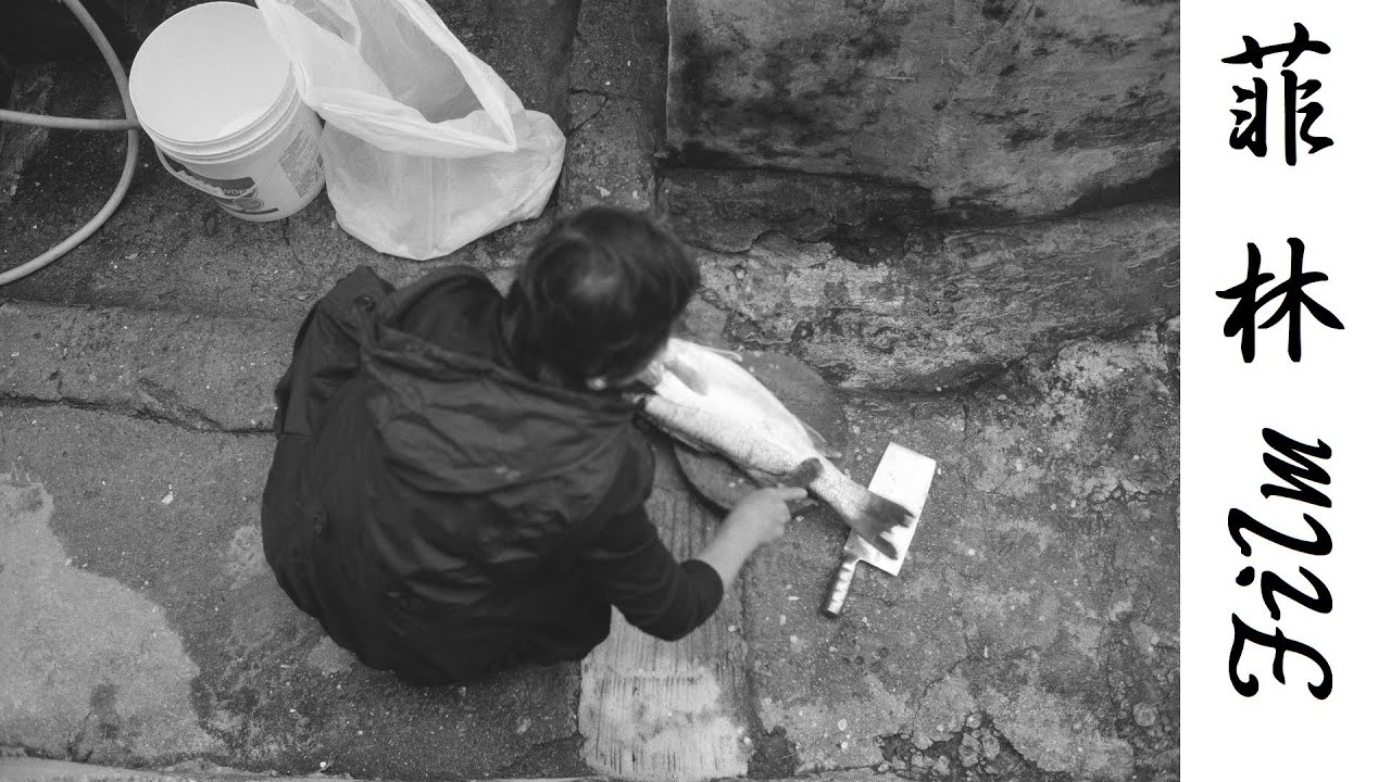 #63 Fujifilm Neopan 100 Acros II