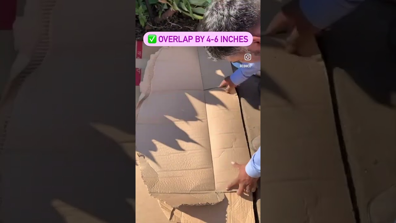 Sheet mulching with cardboard  #gardeningtips #sheetmulching #mulching #healthysoil #nativeplants
