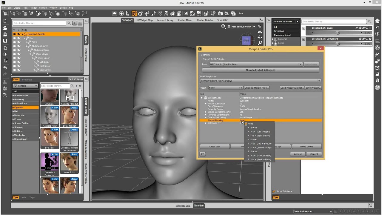 New Morph Tools Intro