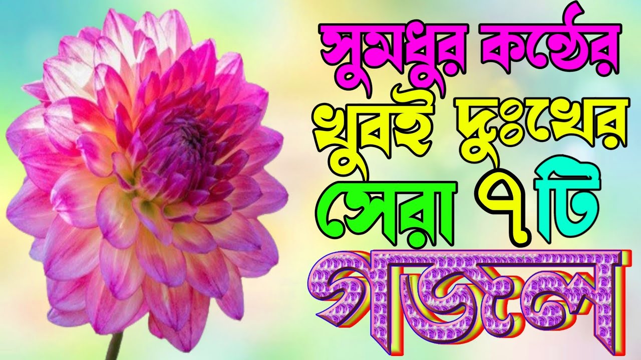 Bangla Best Gojol |সুমধুর কন্ঠের সেরা ৪টি নতুন গজল |কান্না চলে আসা ৪টি নতুন গজল |Selected Gajal 