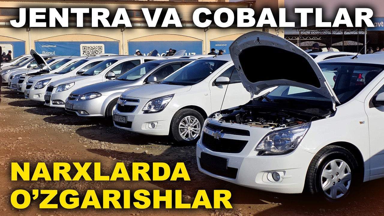 JENTRA VA COBALTLAR XORAZM MASHINA BOZORI NARXLARI 2026