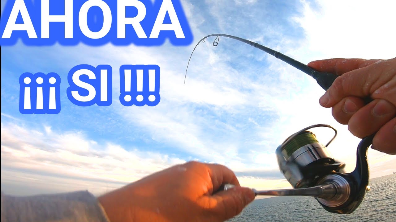 SPINNING en INVIERNO, buscando PECES  encontramos MÁXIMA ACTIVIDAD.