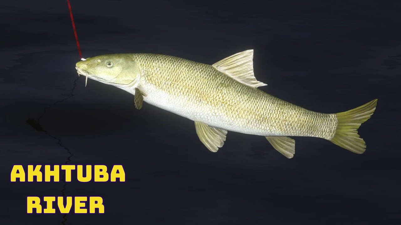 Russian Fishing 4 Poszukiwanie Brzan Aral Barbel Akhtuba River (159)
