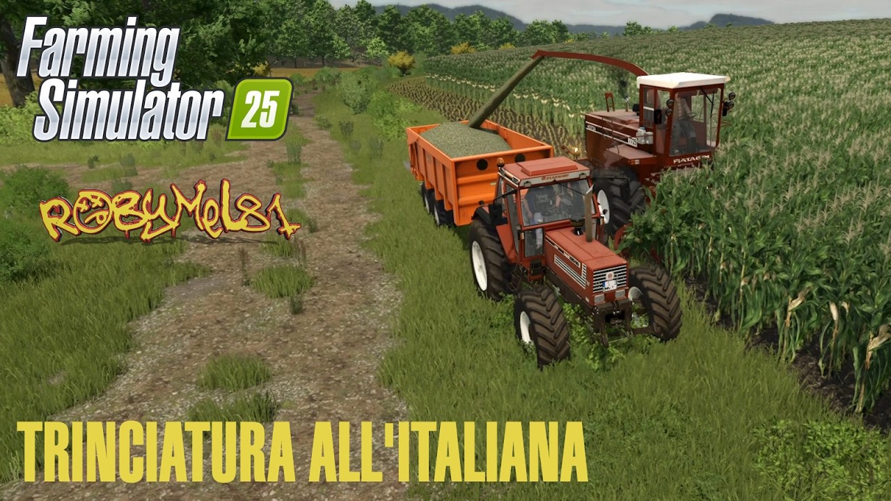 Trinciatura All'Italiana  - MONTERIGGIONI MAP  #28