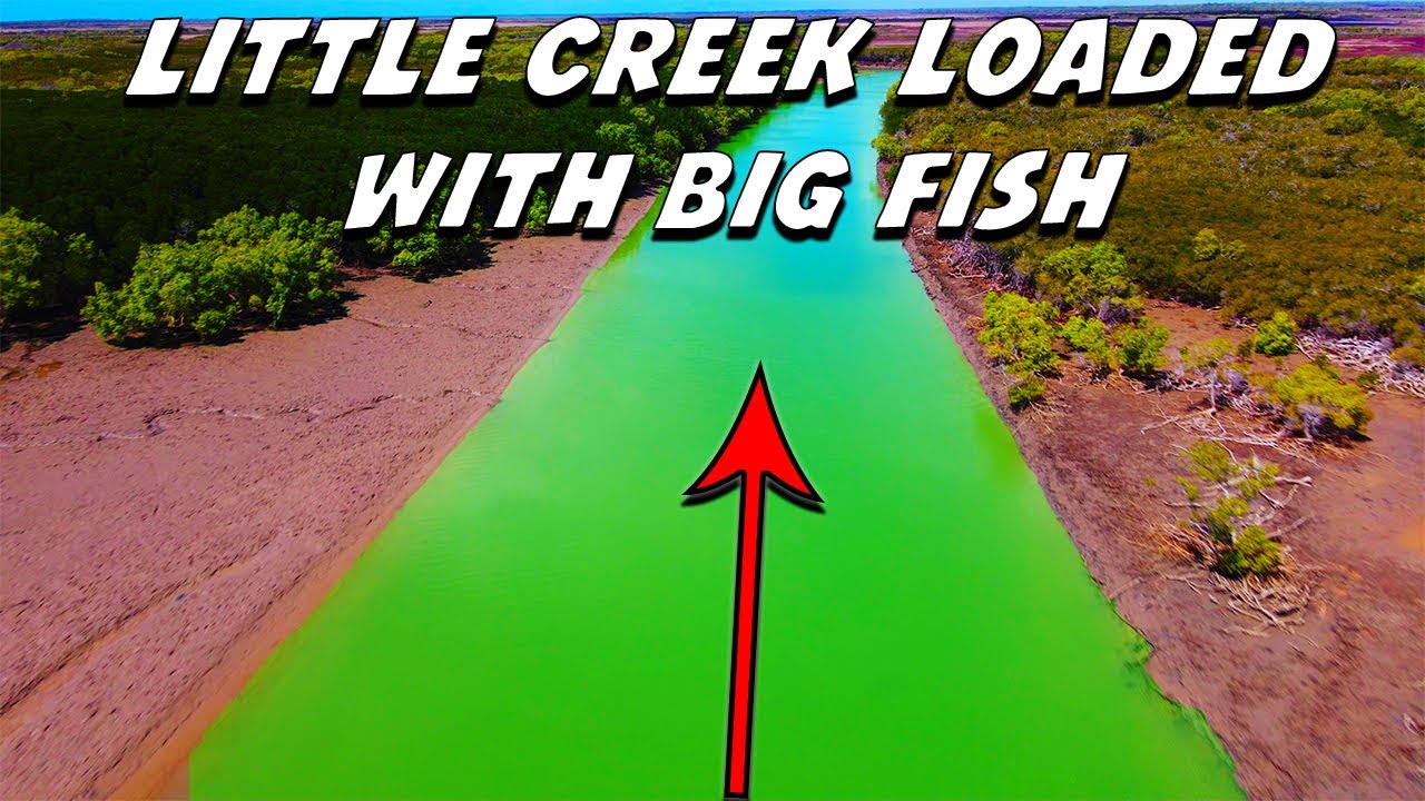 Small Creek Loaded With BIG Fish...