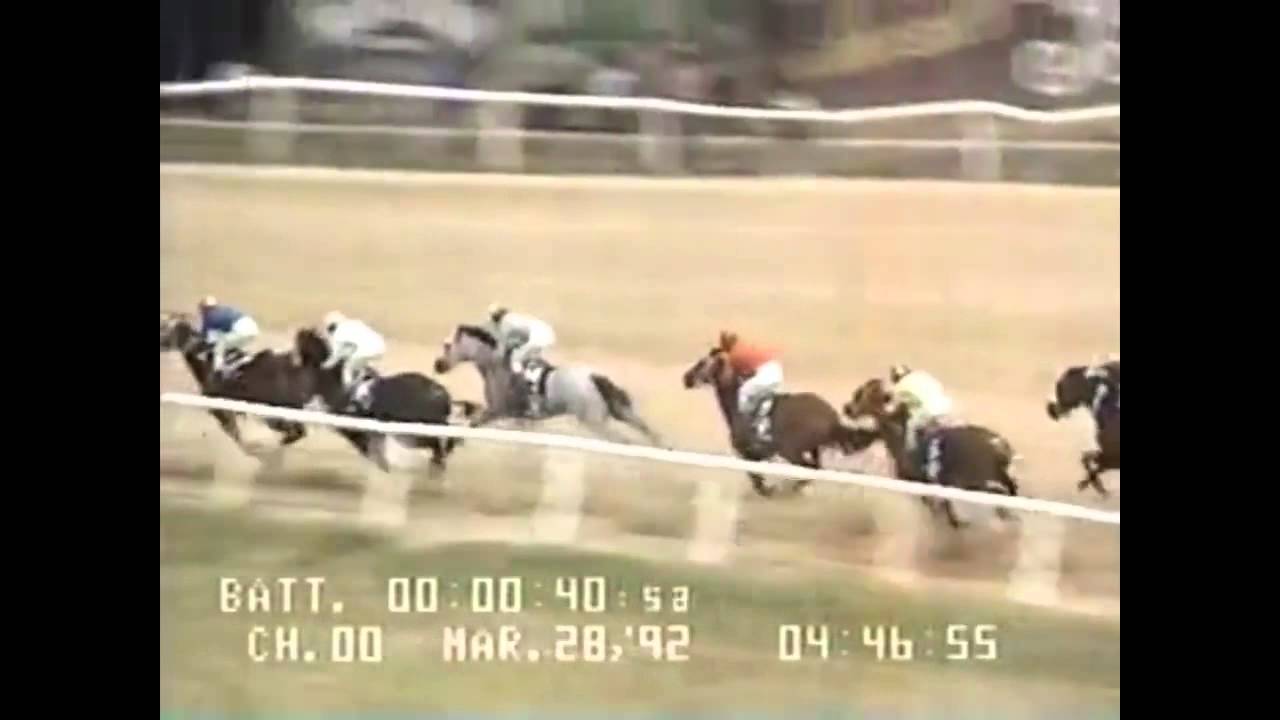 PERLA ANTILLANA WHAT A JET CAMPEON EN 1992