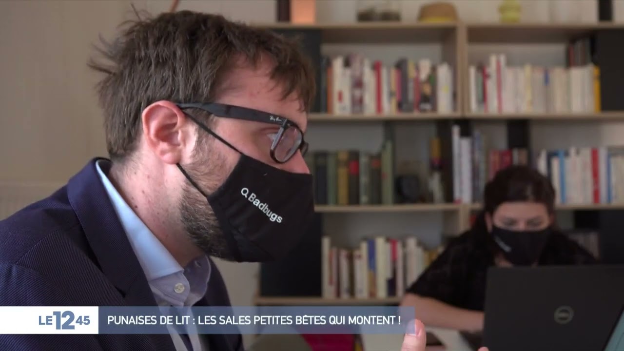 M6 Le Mag du 12h45 Punaises de lit
